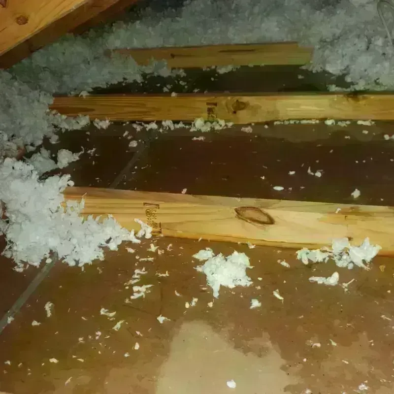 Attic Water Damage in Palm Springs North, FL