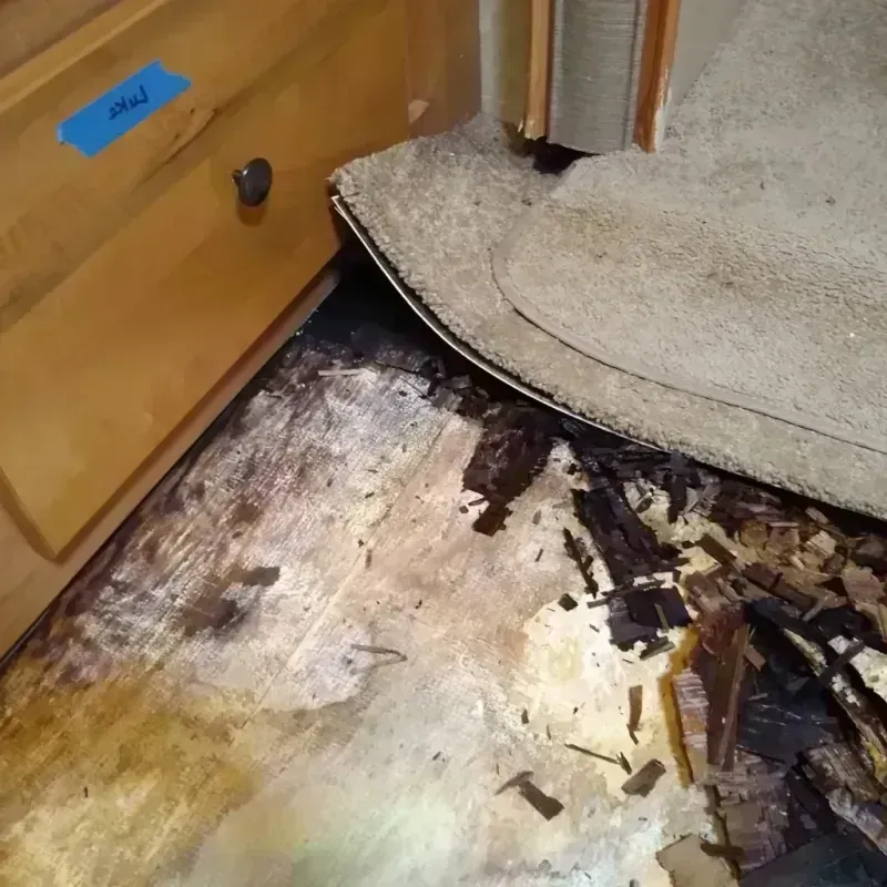 Wood Floor Water Damage in Palm Springs North, FL